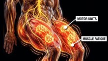 🤯 Why Do Your Muscles Shake During Exercise?