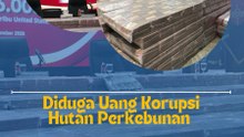 Diduga Uang Korupsi Hutan Perkebunan Kejagung Sita Sedikitnya Rp1 Triliun dan Uang Dolar AS