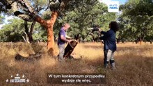 Od korków do rakiet: jak Portugalia redefiniuje zastosowanie korka
