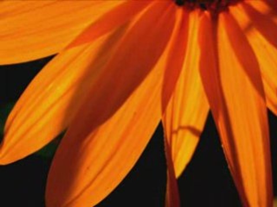 Hymne au soleil edmond rostand