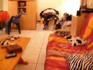 mon anniversaire!!!!