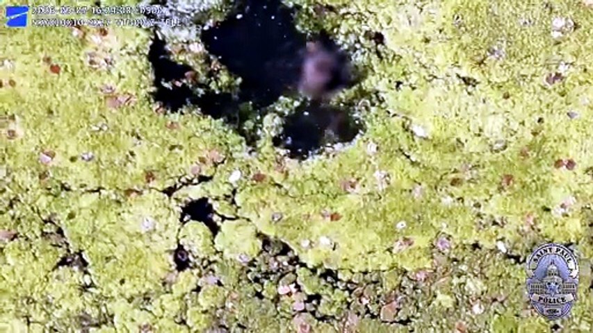 Criança com autismo resgatada de lago com ajuda de drone. Eis o vídeo