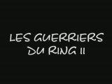 Les Guerriers du Ring II ( remerciements )