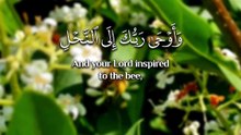 ﴿ وأوحَىٰ رَبُّكَ إلى النَّحلِ أنِ اتَّخِذِي من الجِبالِ بُيُوتًا ومن الشَّجرِ ومِمَّا يَعْرِشُونَ ﴾