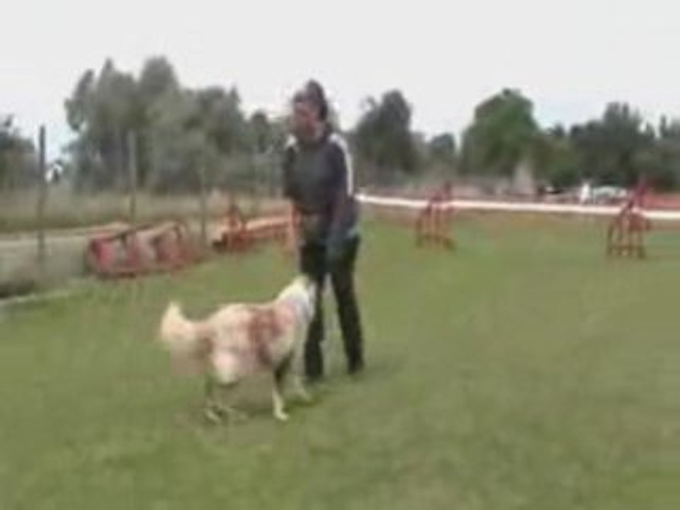 video de crumble (03)