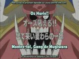 One piece 364 preview vostfr