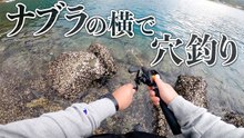 ナブラの横で穴釣り、ゴロタの隙間に仕掛けたら反応は？