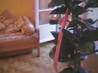 Les pitreries de Baguerra