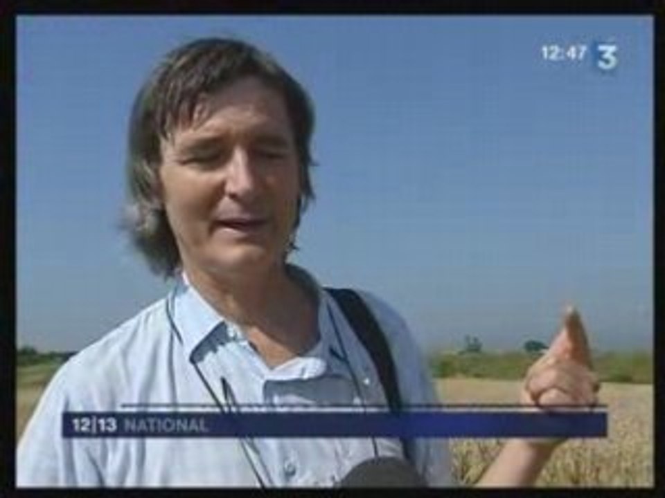 crop circle de valence - juillet 2008