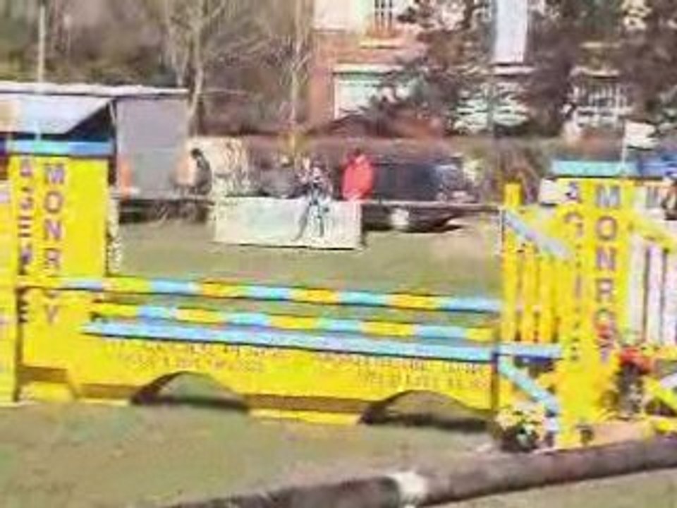 A vendre cheval selle français (www.elevagedesgres.com)