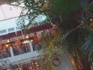 Visite intérieure de Center Parc