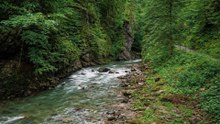 Enjoy a Friendly Walk Through Germany's Beautiful Breitachklamm Gorge