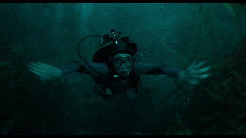 Whalefall Trailer (3) OV