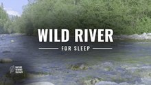 River White Noise for Sleep · Slovak Tatra Mountains