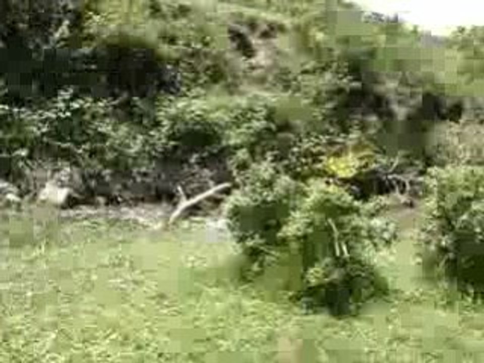 hgfruyrghuh
