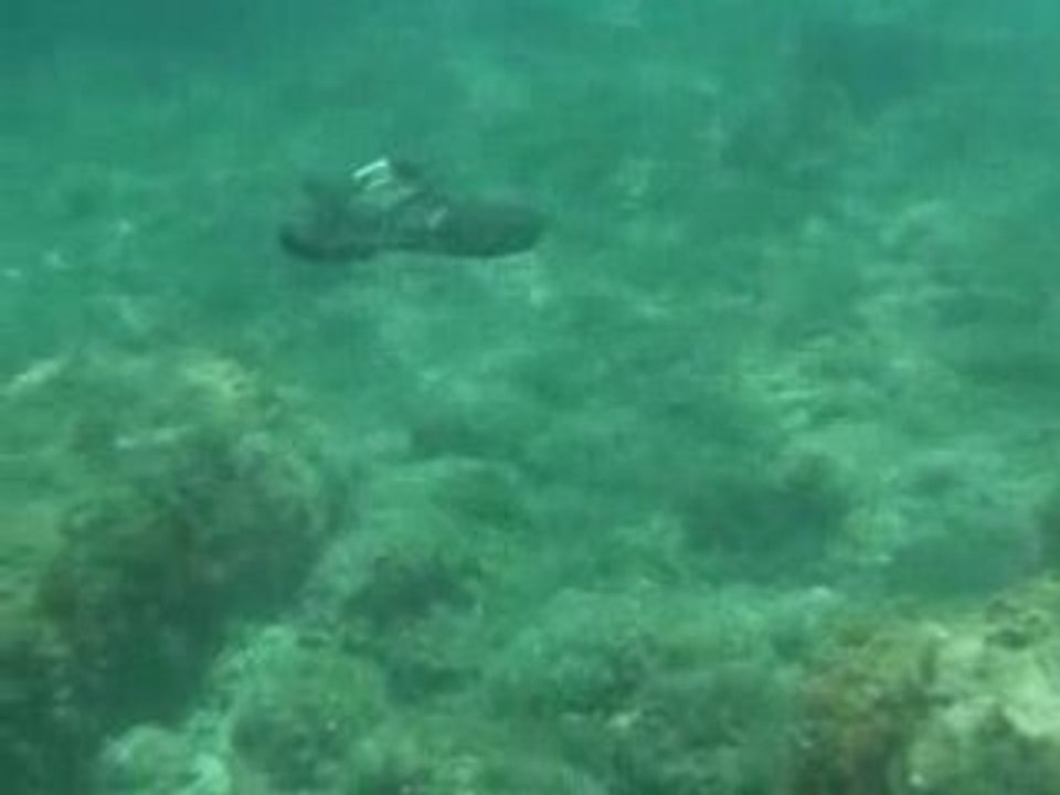 Plongée à la plage de l'Arène