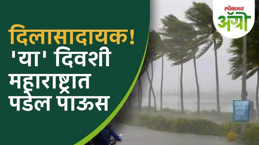 या आठवड्यात पावसाचा इशारा! काय आहे हवामान विभागाचा अंदाज? Maharashtra Weather Forecast: IMD Alert