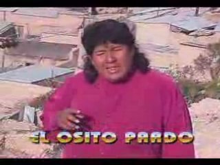 El osito pardo-amor a escondidas