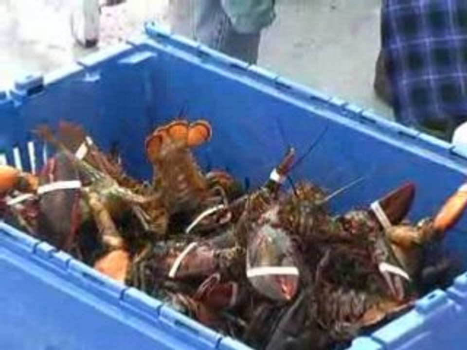 les iles de la Madeleine au Quebec