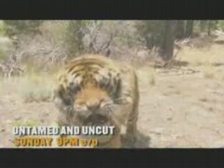 Untamed & Uncut - Unexpected