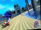Sonic Wildfire Wii