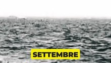 1941: Estados Unidos y Alemania se enfrentaron antes de la declaración oficial de guerra