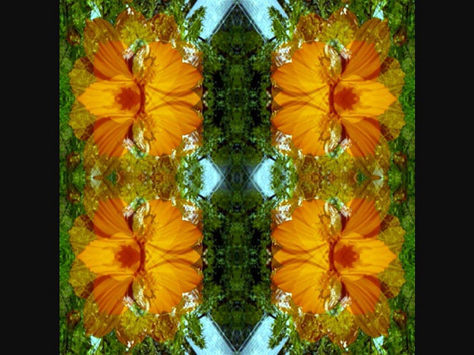 VR 2008-chant'al'ette_les fleurs d'été &...