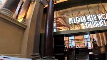 You Need to Visit This in Brussels! 🇧🇪🍺