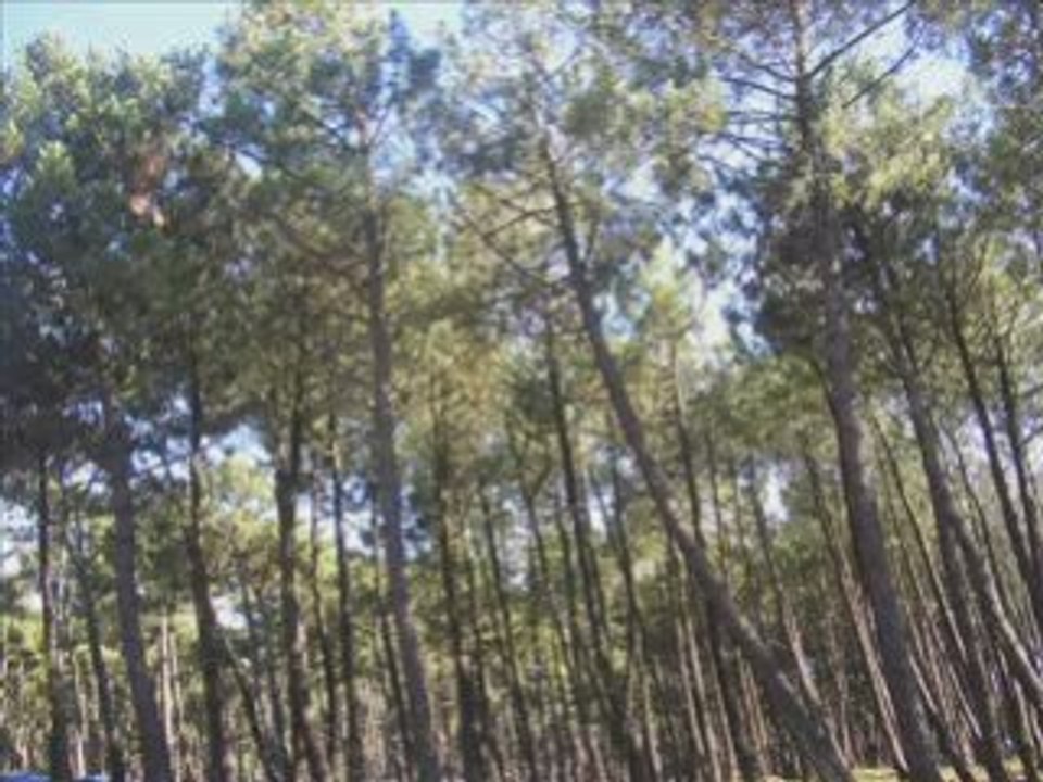 Vac landes 2
