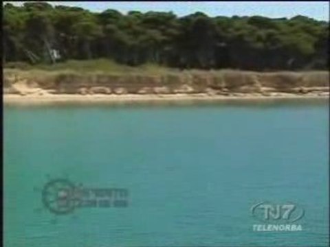 TeleNorba Taranto e Filonide