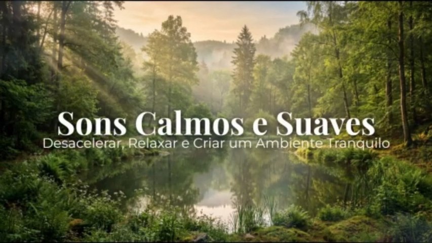 Sons Calmos e Suaves | Desacelerar, Relaxar e Criar um Ambiente Tranquilo