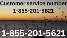 {{{Premier Full}}™ {[List]} of American airlines® CUSTOMER© SERVICEⓢ Numbers — All-in-One Support Directory