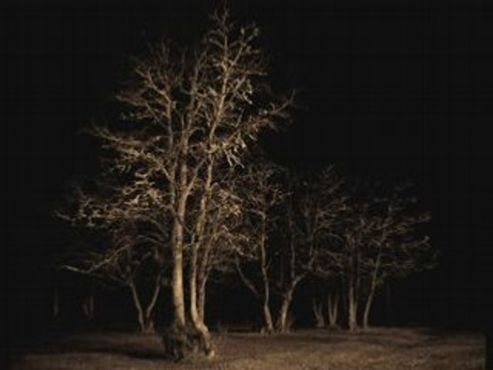 Omara Gospel Ministries Video: How To Overcome Fear