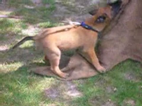 Bonsecours juillet08 082