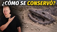 Lo ocultaron por miles de años: 19 hallazgos increíbles que te van a sorprender