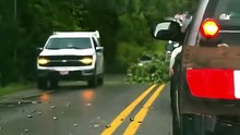Good trade 🤝 #relatable #funnyvideo #car #viral