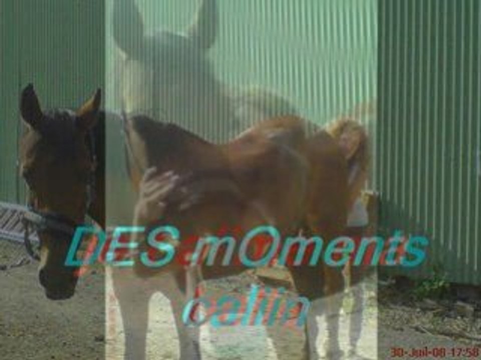 Photorécit1