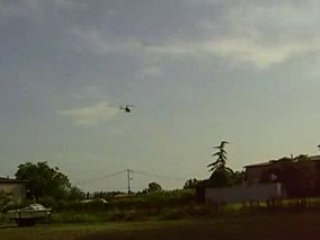 looping en Trex 450