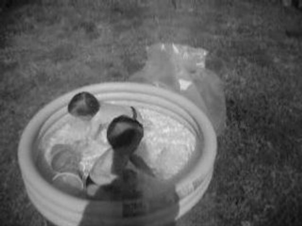 VACANCES A NOTRE DAME DE MONTS 044