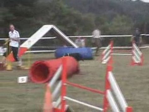 Agility (G.P.F. et Jumping de Falck 2008)