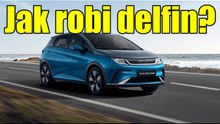 BYD Dolphin: cena, zasięg i wyposażenie – test miejskiego elektryka