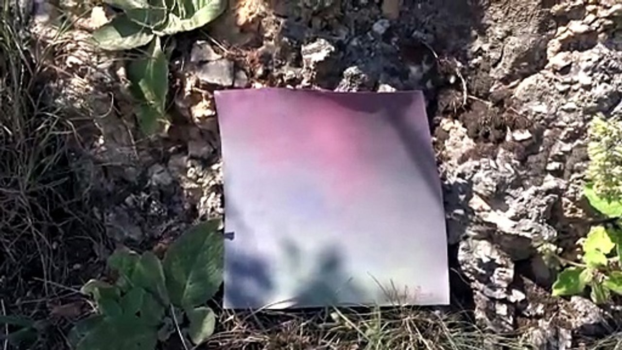 "The Chromatic Resonance" by The Founder Mihaela Pleşca