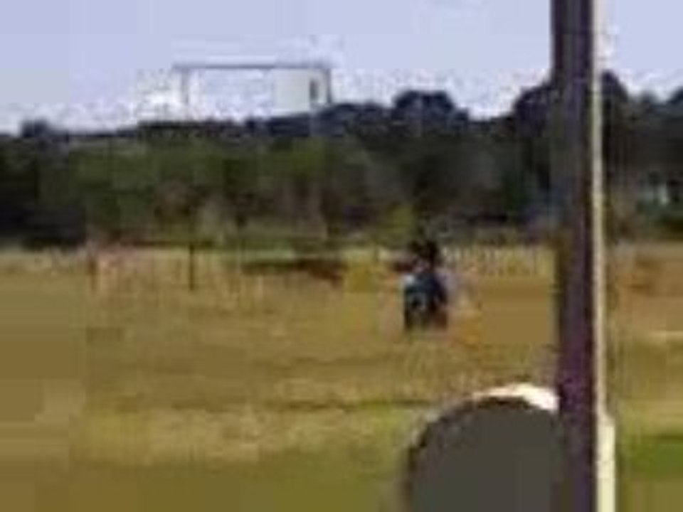 derbi