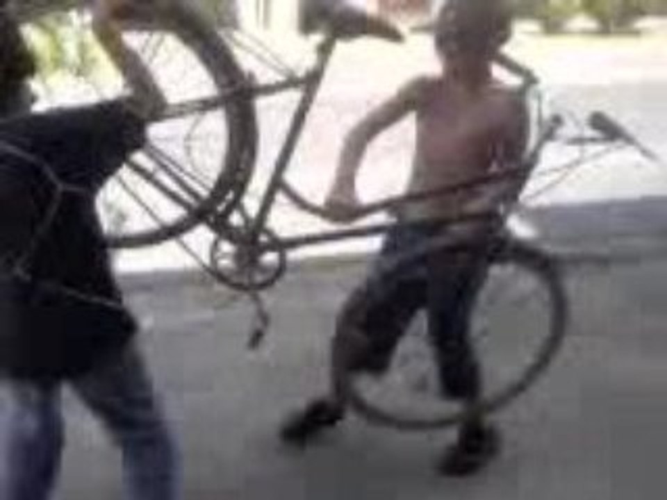 les petits du peuplier qui veulent representer morsay