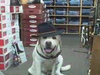 Lay’s Feed and Western Wear Lakeland Florida