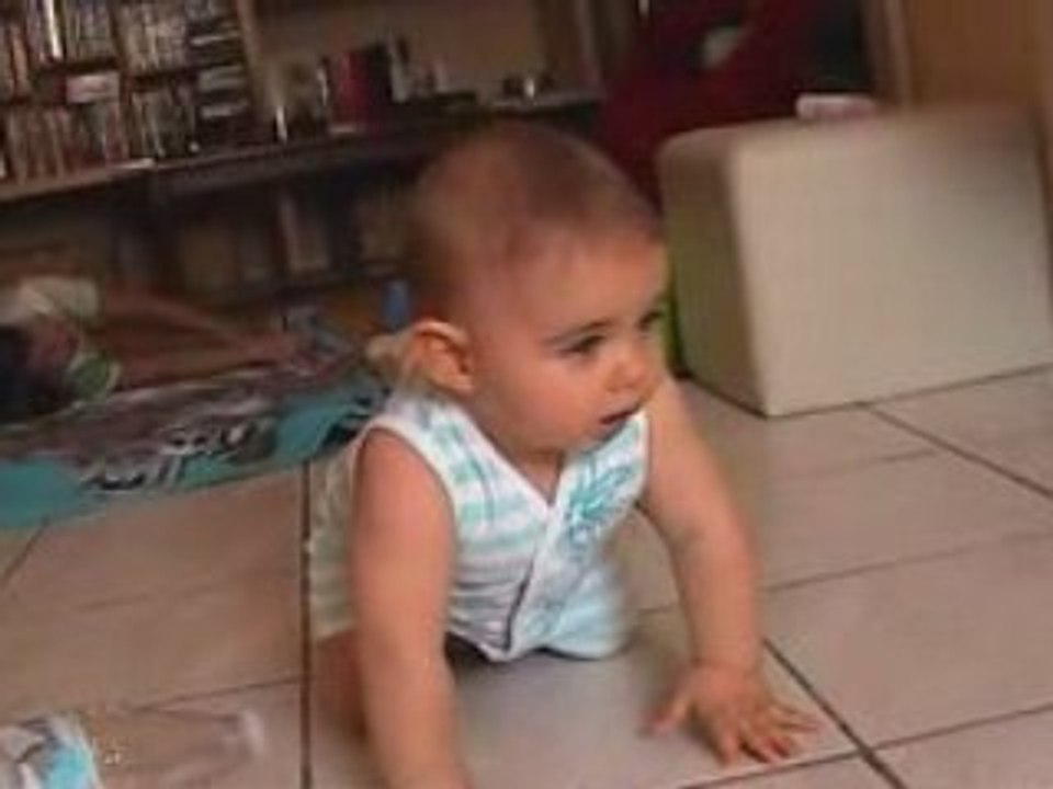 Noah à 4 pattes 2