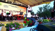 Iulian Gabriel Liu - Festivalul „Pe deal la Teleormanel” - Favorit TV - 29.08.2026