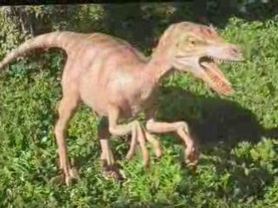 Velociraptor Puppet - Amazing Realism