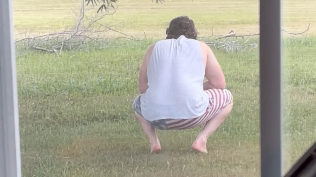 Snake Moves Up Window While Man Outside Notices And Reacts In Seconds