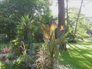 Fin d'année à Rabelais